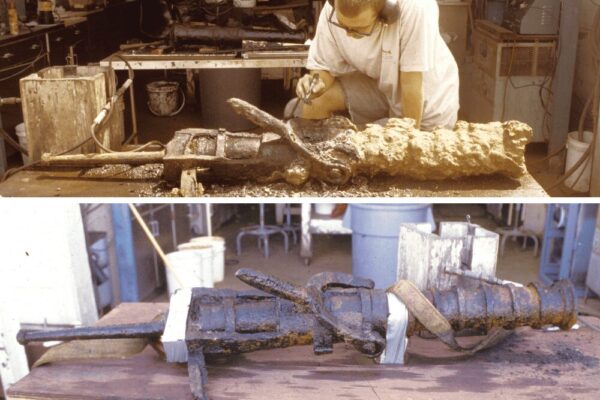 Belle-Working-1