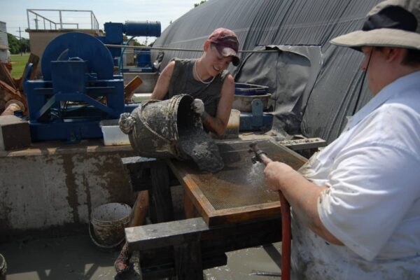 MGSP-working-4