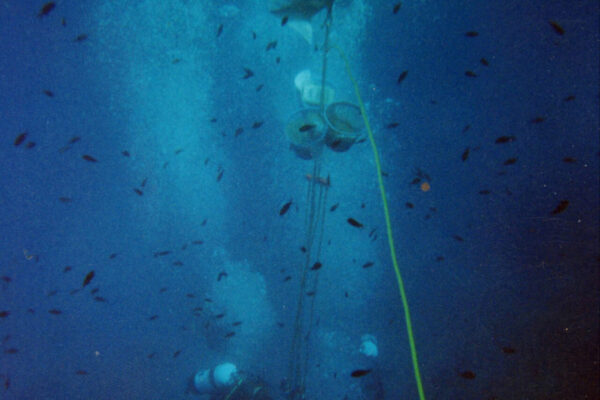 Davis1997-BozburunShipwreck-Turkey-DecompressionStop